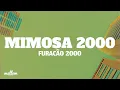 Download Lagu Mimosa 2000 - Furacão 2000 (Lyrics)