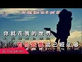 Lagu Vietsub | Gặp Nhau Lại Một Lần Nữa - Tôn Lộ | 再度重相逢 - 孙露