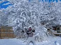 Unreleased Charlesthefirst x VCTRE - ID Melting Snowfall Buugeng