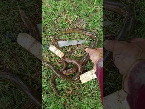 3ແຕ້ມເບາໆ