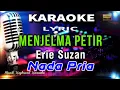 Download Lagu Menjelma Petir - Nada Pria Karaoke Tanpa Vokal