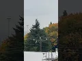 Bomb Cyclone Weather Seattle Washington
