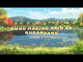 Kung Maging Akin Ka by SUGARCANE | Slowed&Reverb