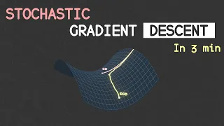 STOCHASTIC Gradient Descent in 3 minutes