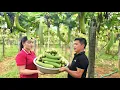 Download Lagu Harvesting Sweet Gourds to Sell at Market \u0026 Taking Care of Livestock Every Day