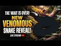 New Venomous Snake Reveal - You Don t Wanna Miss This