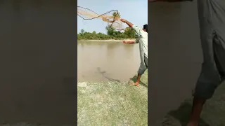 Jaal Machhali Pakdane Ka Tarika 