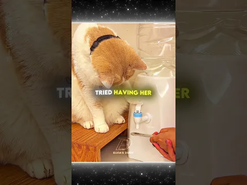 This Cat Has An Incredible Talent! 😼💧