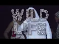 SKEPTA - SHUTDOWN (LIVE AT WILD LIFE 2015)