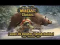 Level 19 Twink Hunter Guide Gear Talents Tips - World of Warcraft Classic