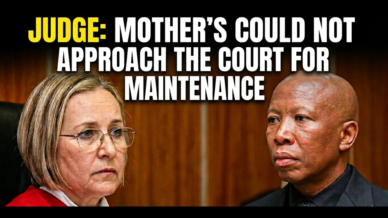 Julius Malema Sentencing:The Judge discusses the negative impact the court case had to society