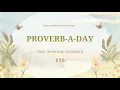 NASB Proverb-A-Day Challenge Proverbs 16