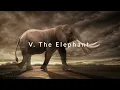 Carnival of the Animals – A Visual Journey Through Nature’s Orchestra