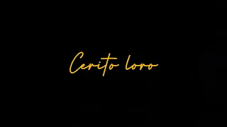 Download CERITO LORO- CINDI CINTYA DEWI TERBARU MP3