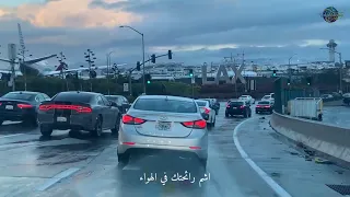 اشم رائحتك في الهواء  يا عشيقي  دندنها
