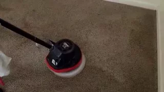carpet scrubbing with oreck orbiter and simple green 
