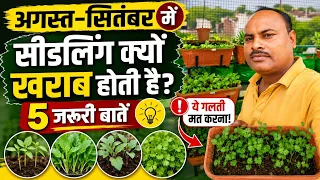 अगस्त–सितंबर में Vegetable Seedling की Care कैसे करें?  | Healthy पौधों के लिए जरूरी Tips
