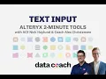 TEXT INPUT ALTERYX 2-MINUTE TOOLS