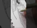 Number 1 insect on smoke