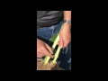 360 Yield Minute - Staging Large Corn