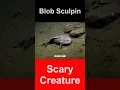 Download Lagu Blob Sculpin - Scary Creature