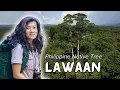 Lawaan