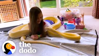 16-Foot Python Is So Gentle With Her Favorite Girl The Dodo Soulmates