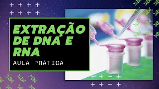 Extração de DNA e RNA - aula prática