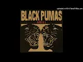 Black Pumas - Angel