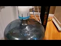 Primo Bottom Load Water Cooler Pump is Running But No Water
