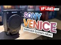 Download Lagu Sony's VENICE Extension System Mini: The “Rialto Mini”