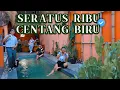 Download Lagu SERATUS RIBU CENTANG BIRU - SOUNDS OF SOULJAH