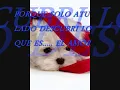 PEQUENA LOS TEMERARIOS.wmv