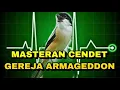 Download Lagu Masteran Cendet Tembakan Armageddon!!_ @sultanakbar