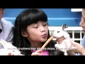 AXA Mandiri dan AXA #CerdasIndonesiaku (subtitle - 60 sec.)