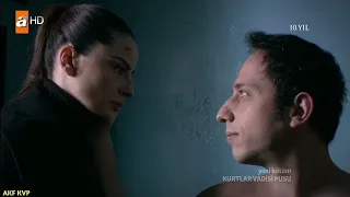 وادي الذئاب الجزء السابع الحلقة 24 مدبلجFULLHD 