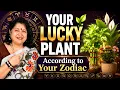 YOUR LUCKY PLANT According to Your ZODIAC SIGN 12 Signs 12 Plants
