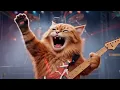 Van Meowlen - Pounce | Live at Meowsic Festival 2026 | Parody
