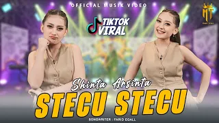 shinta arsinta stecu stecu official music video aduh abang bukan maksudku begitu