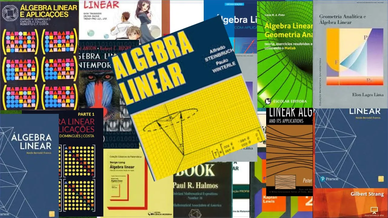 ÁLGEBRA LINEAR PARA INICIANTES