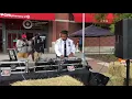 Lagu DJ Ace The Cut Lieutenant Spinning At The 2018 Atlantic Terminal Harvest Fest