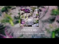 Cherry Coke - we’re dying (Devon Remix) (feat. Paloalto) | Official Audio