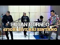 dFIORI - Hutan Borneo (Live RRI Sintang 07 Maret 2023)