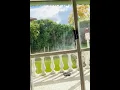 Danny Chan (陈百强) - Wait