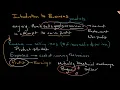What is a Business Introduction to Business