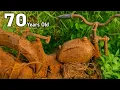 Download Lagu Full Restoration 70 Years Old Antique Ducati Abandoned - timelapse