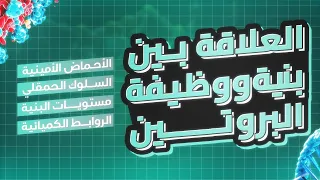 الوحدة الثانية العلاقة بين بنية ووظيفة البروتين من الألف إلى الياء الدرس المفصل 