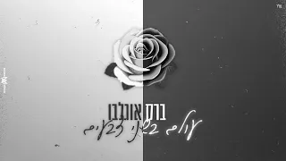 ברק אוגלבו עולם בשני צבעים קאבר 