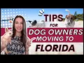 Tips for Dog Owners Moving to Florida Space Coast Melbourne Palm Bay