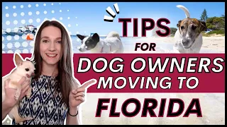 Tips for Dog Owners Moving to Florida Space Coast Melbourne Palm Bay